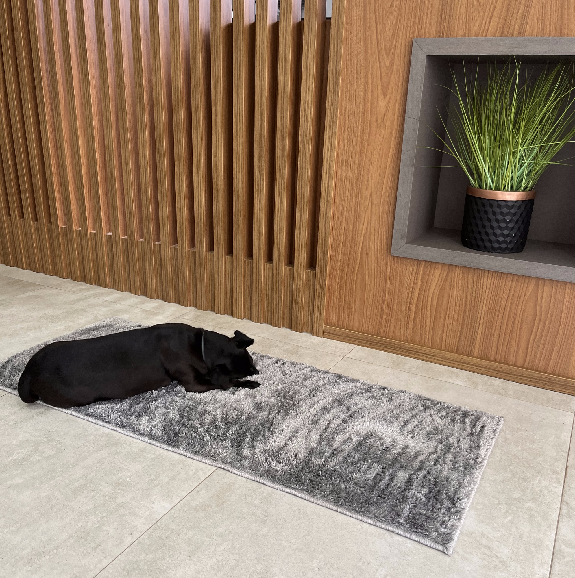 Passadeira Mira Shag Cinza 50x120cm P116 Her Comercio