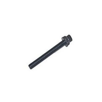 Parafuso do Cabeçote do Motor com Rosca Interna - ROCHEPECAS 3669900401