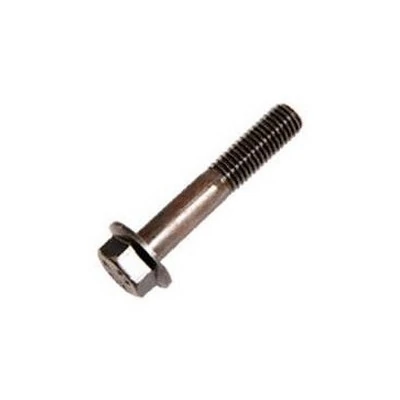 Parafuso da Polia Intermediária do Motor 10X1.5X55mm - ROCHEPECAS 2T0145540A