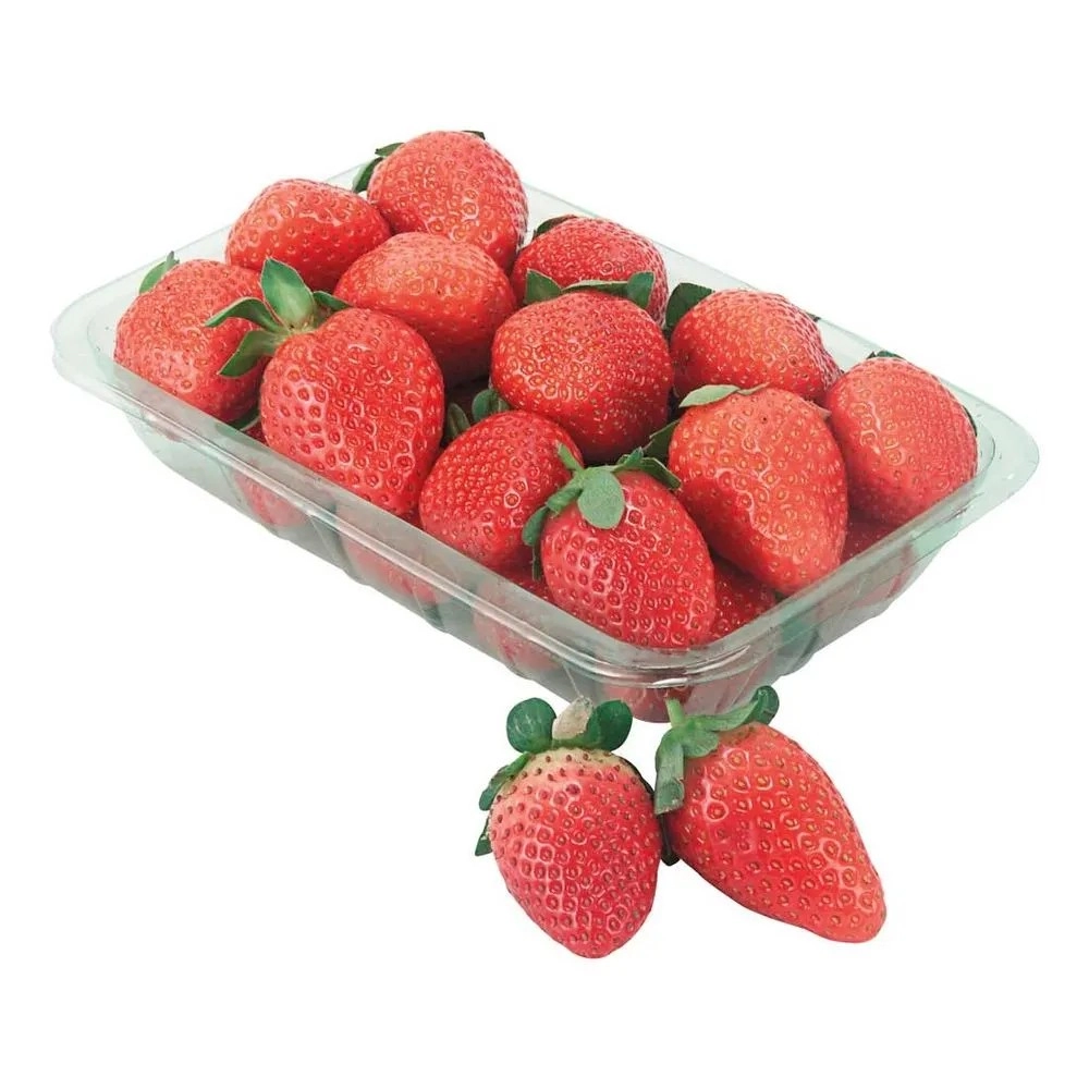 Morango Premium Natural D Terra 250g