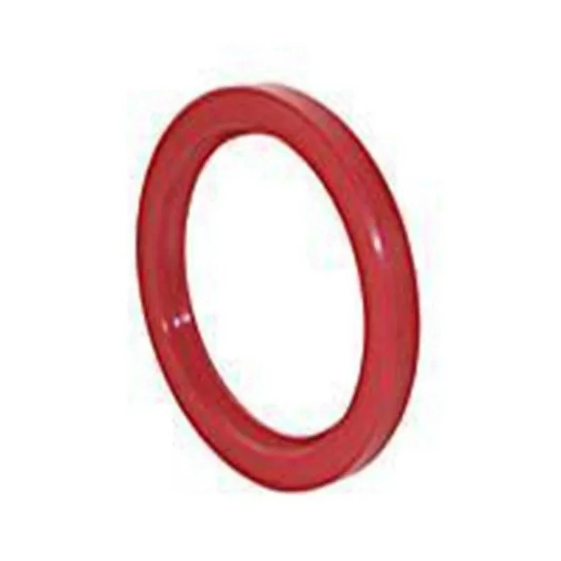 Retentor do Câmbio Entalhado - ROCHEPECAS BF8T4813B