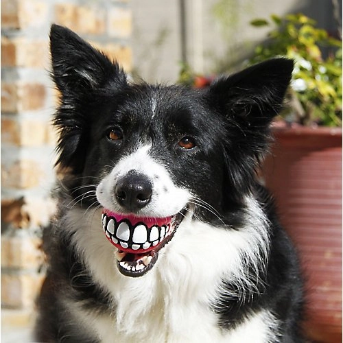 Rogz Grinz 3 Dog Treat Ball, Large