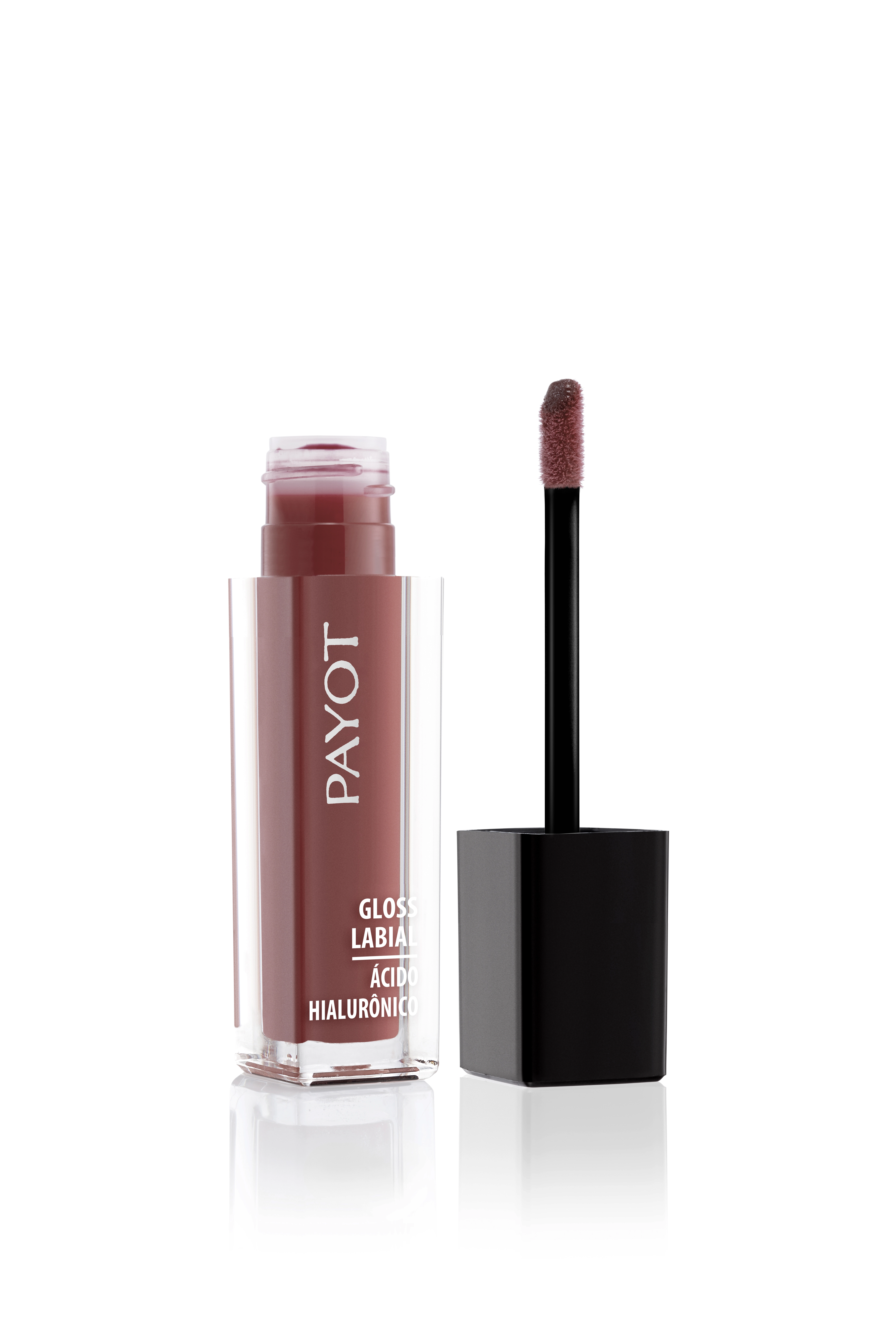 Gloss Payot Labial Havai