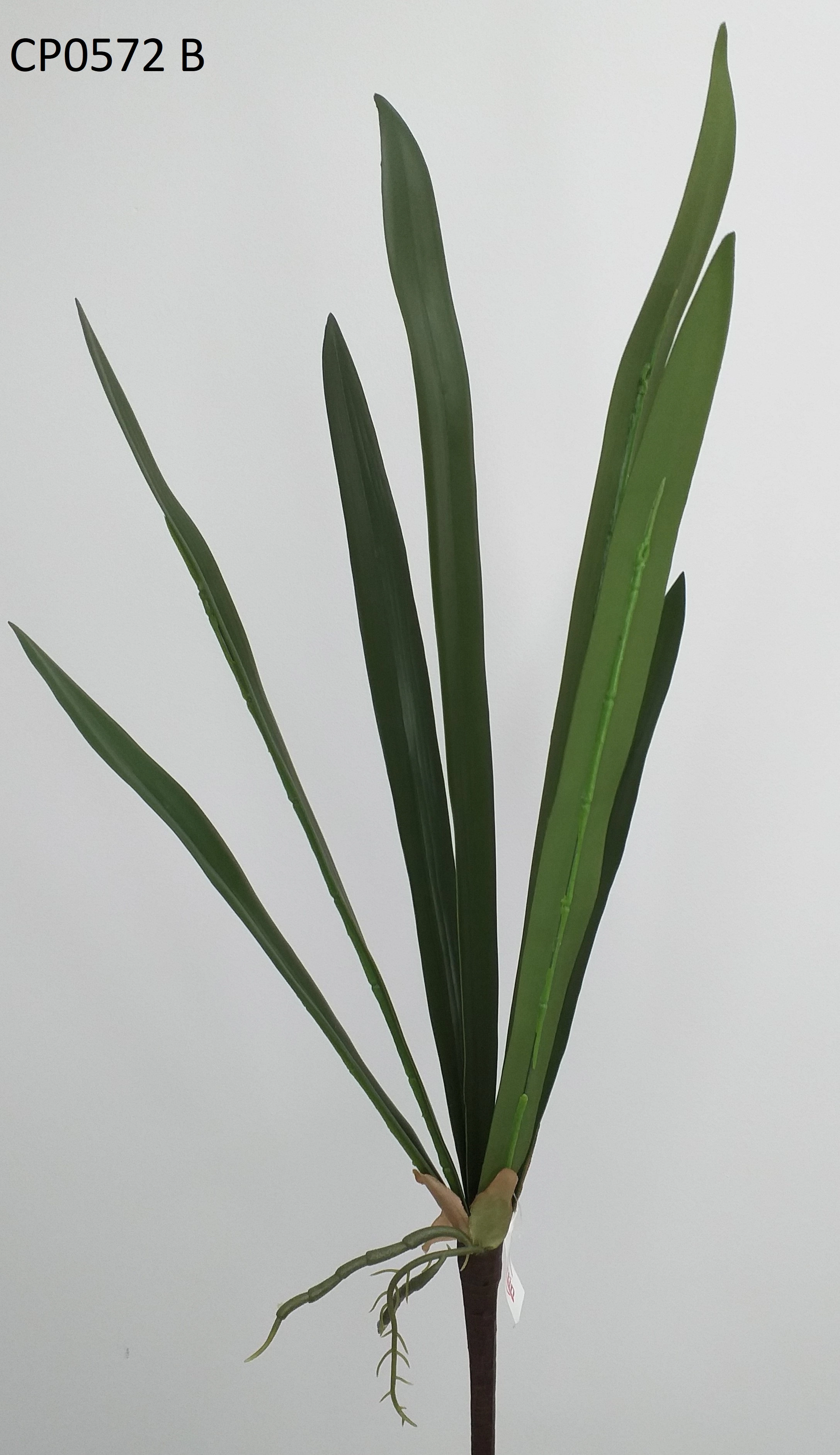 Bulbo Comprido 7un 60cm 0572 B Cp0572 B Cp Importacao