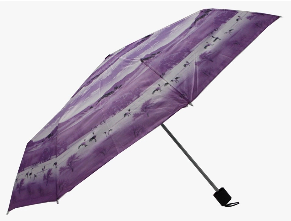 Guarda Chuva Mizu Ref.3959