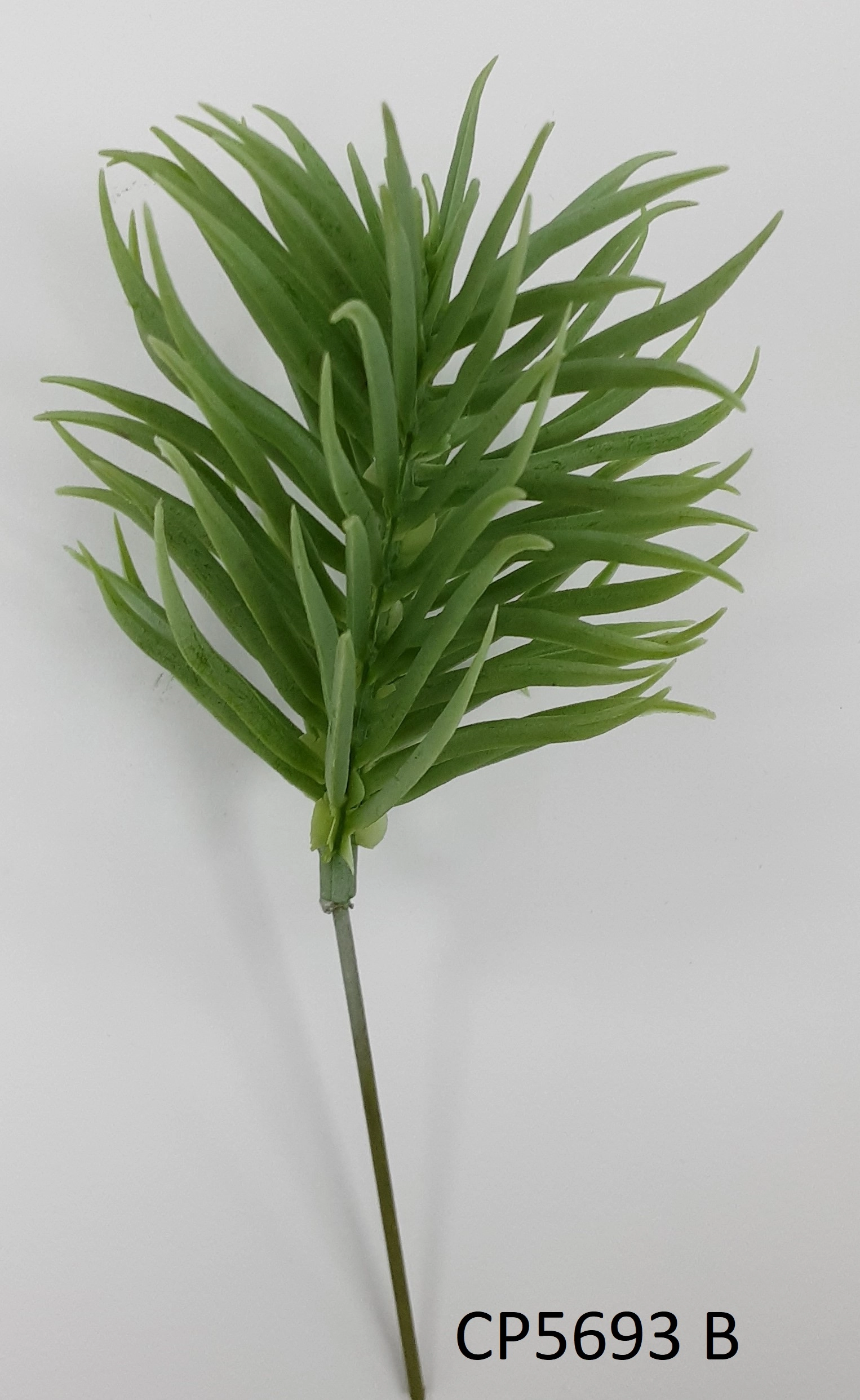 Leguminosa Avulsa 10cm 5693 B Cp5693 B Cp Importacao