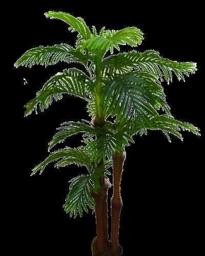 Arvore Palmeira Areca Real Toque X22 Rafia 1.60m 65821 Mp3 Imports