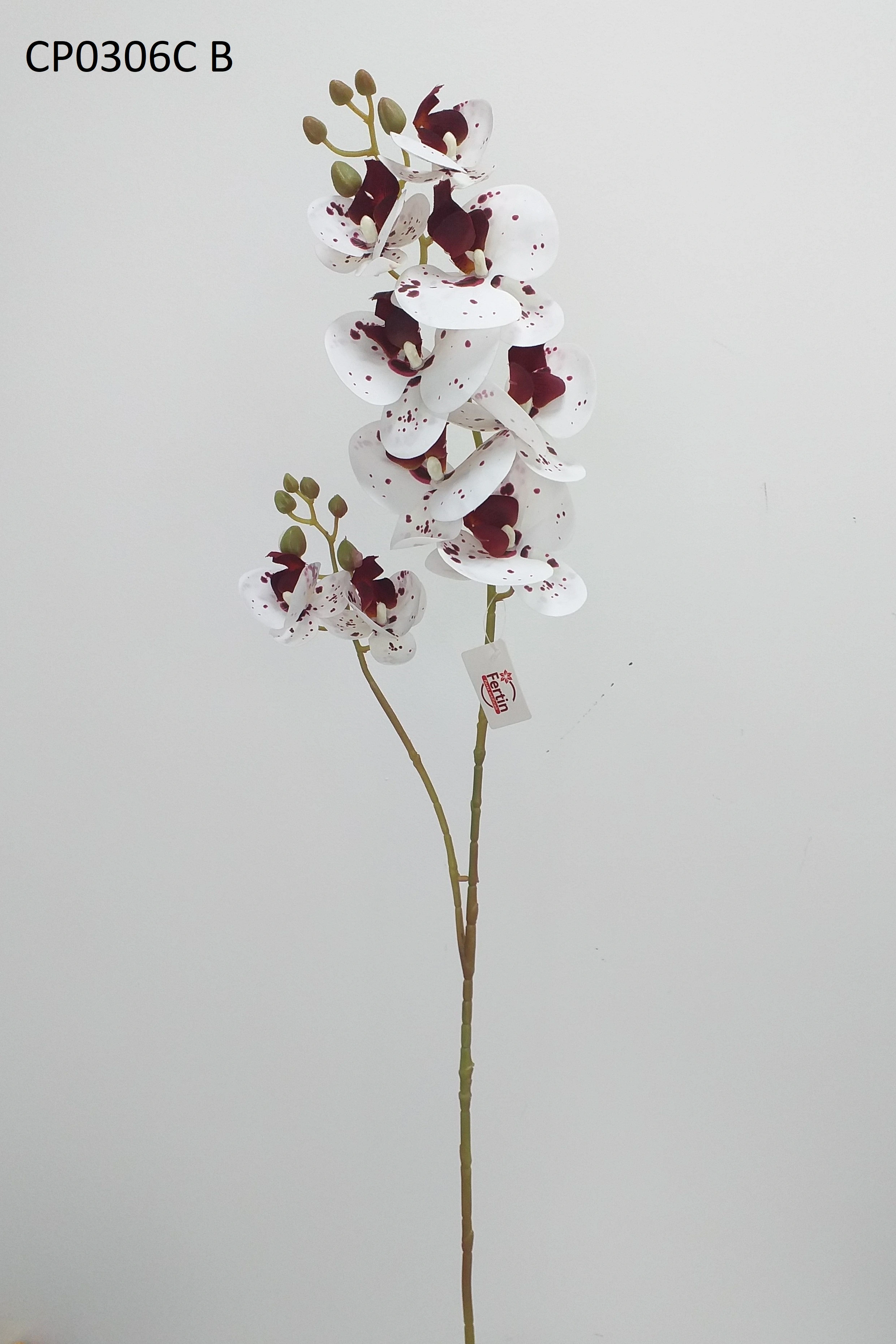 Orquidea 90cm 0306c B Cp0306c B Cp Importacao