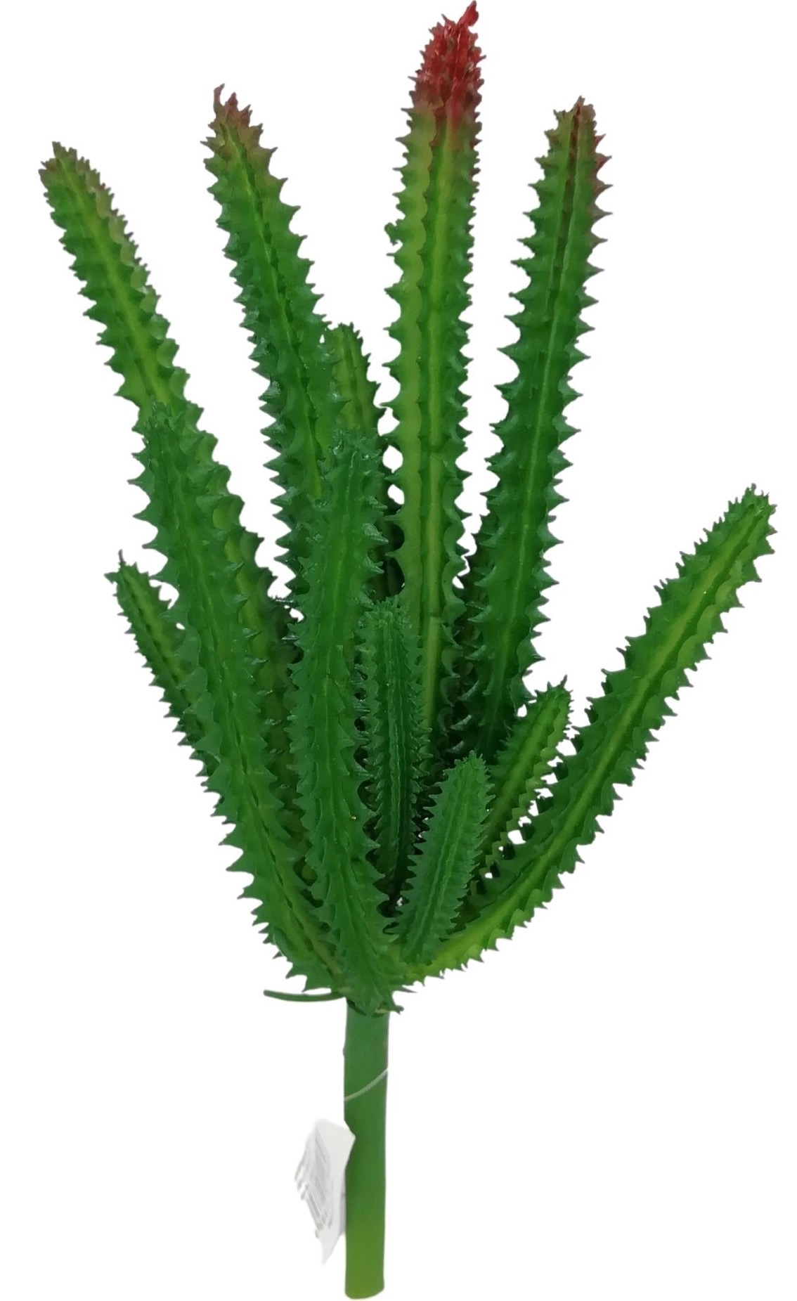 Suculenta 20cm 1069 Mc Flores