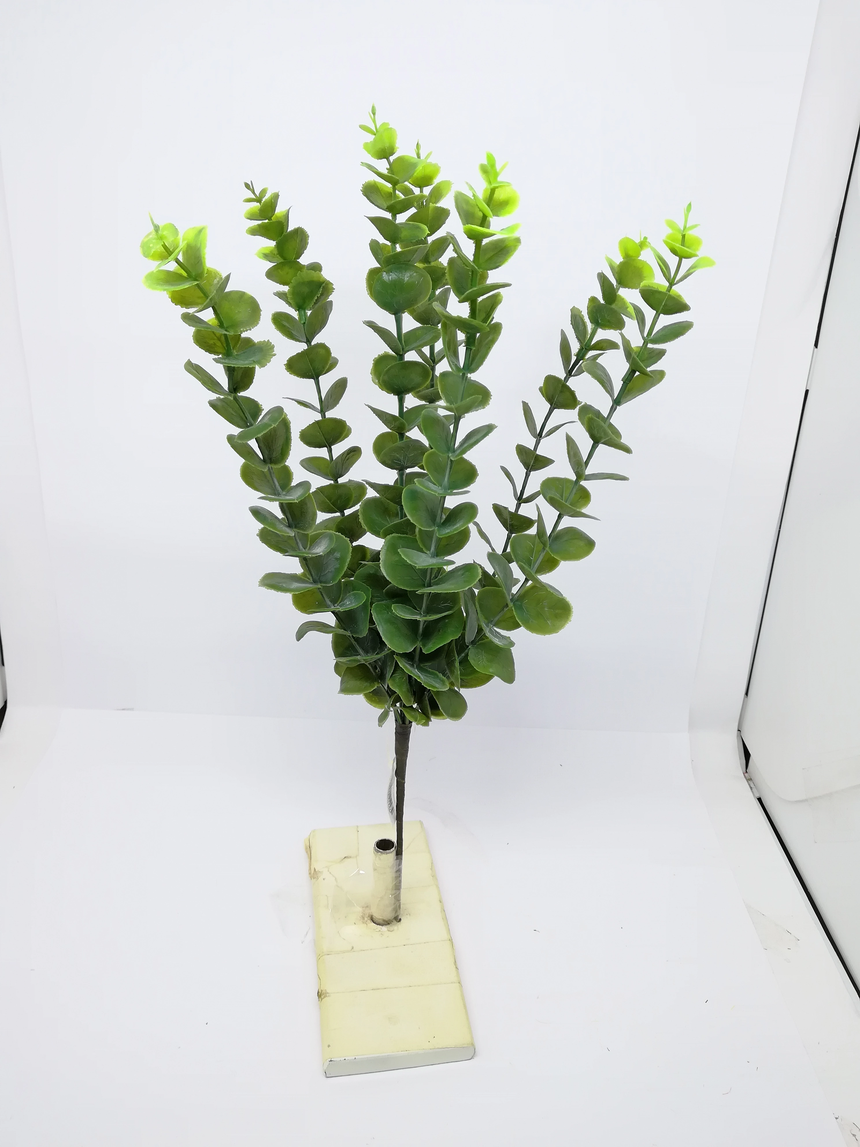 Buque Eucalipto X 7 44 Cm 1227 Mc Flores