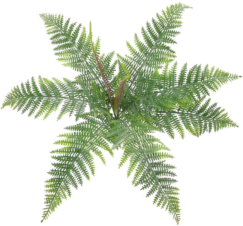 Buque Samambaia Renda Portuguesa X9 40cm 1181 Mc Flores