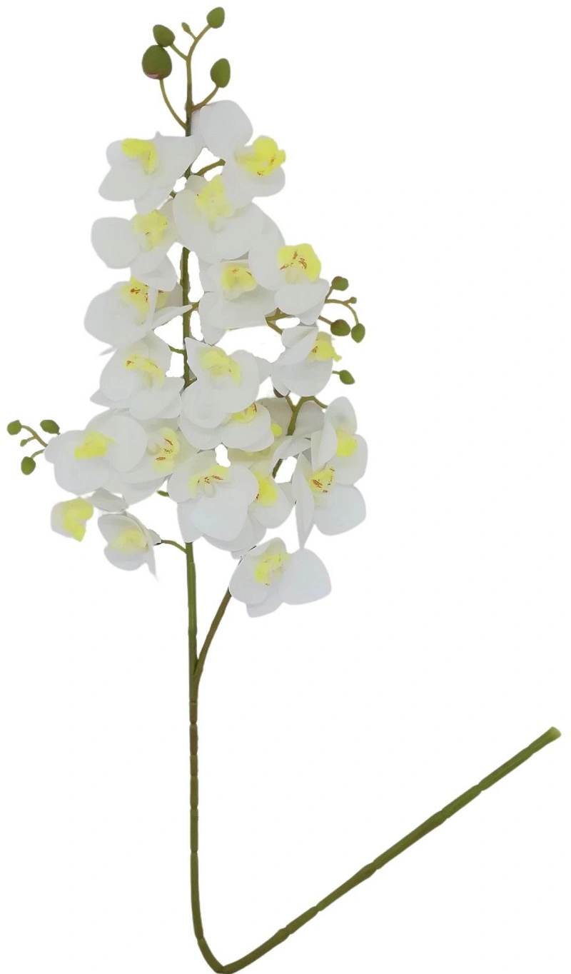 Haste Orquidea Delicada 75cm 1344 Mc Flores