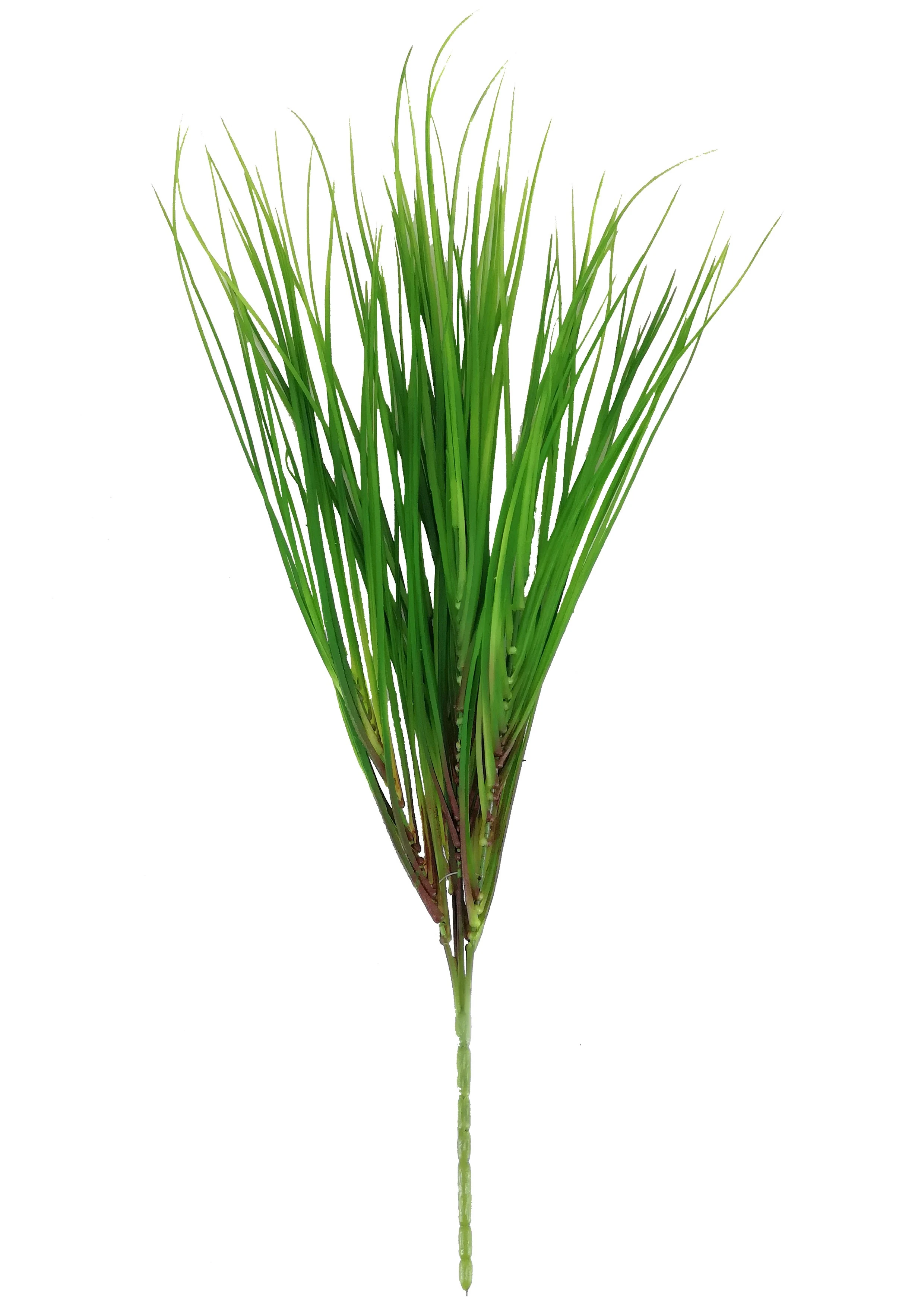 Buque Vanilla X5 5cm 1114 Mc Flores