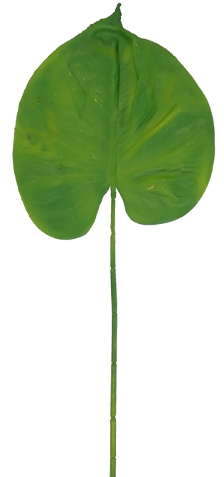 Folha Anturio Latex 43cm 2150 Mc Flores