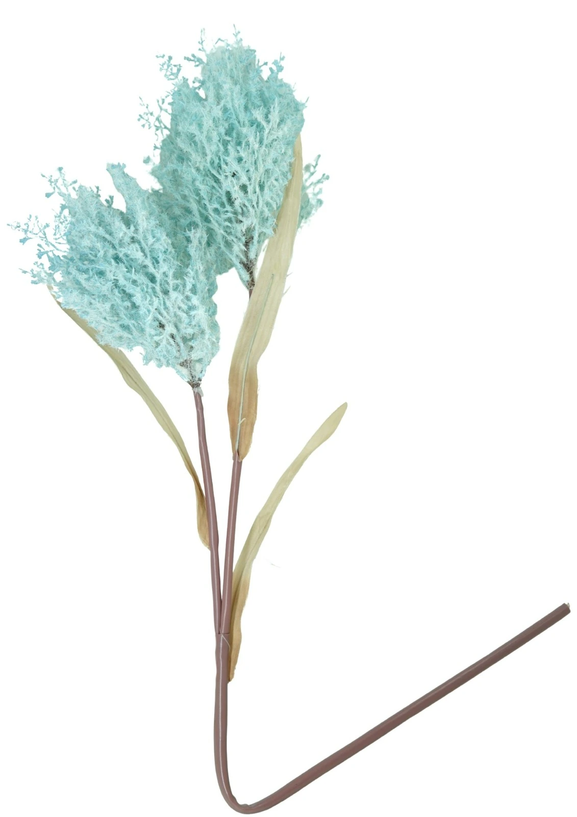 Haste Capim Pampas Outonada 90cm 2320 Mc Flores