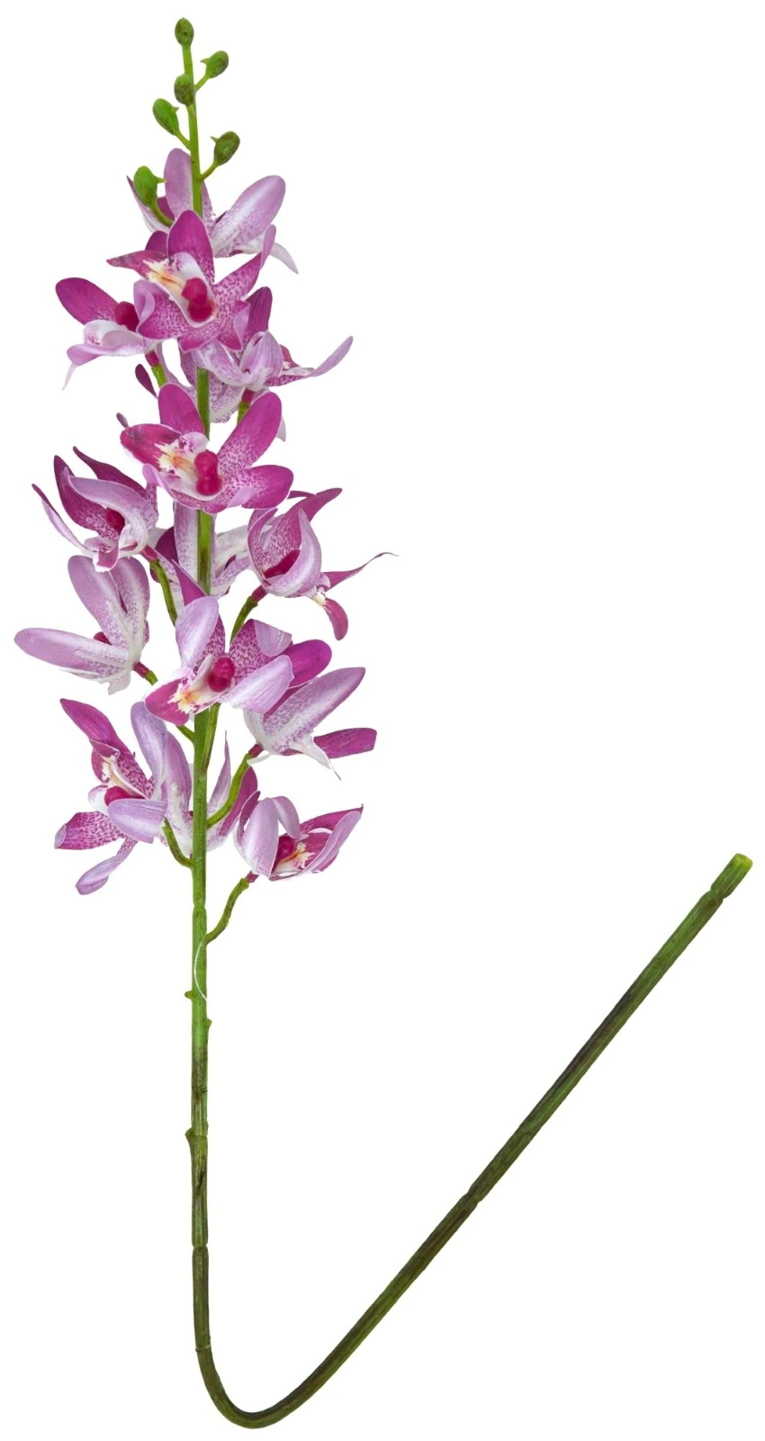 Haste Mc Orquidea 3d 78cm