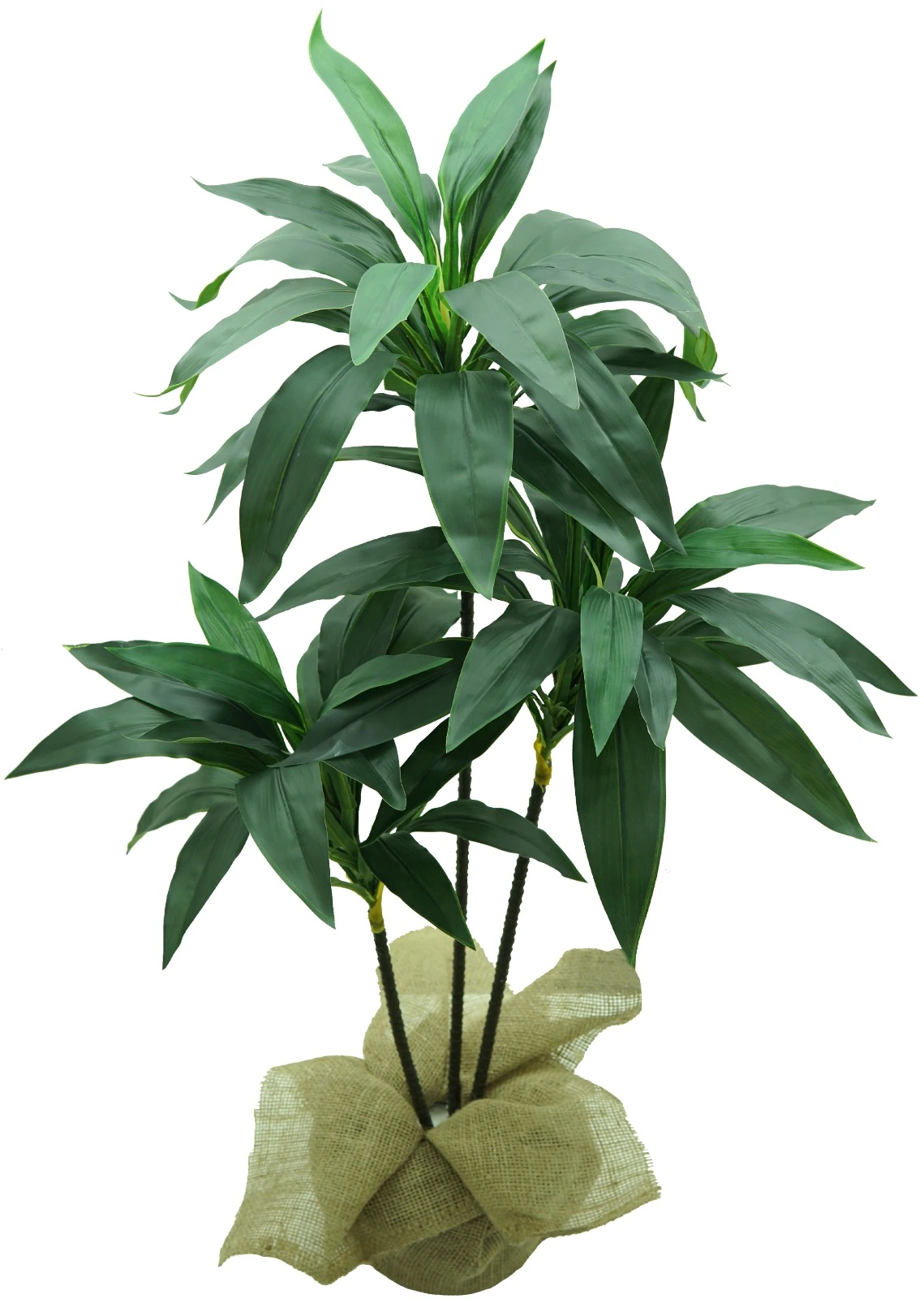Planta Dracena 90cm 2522 Mc Flores