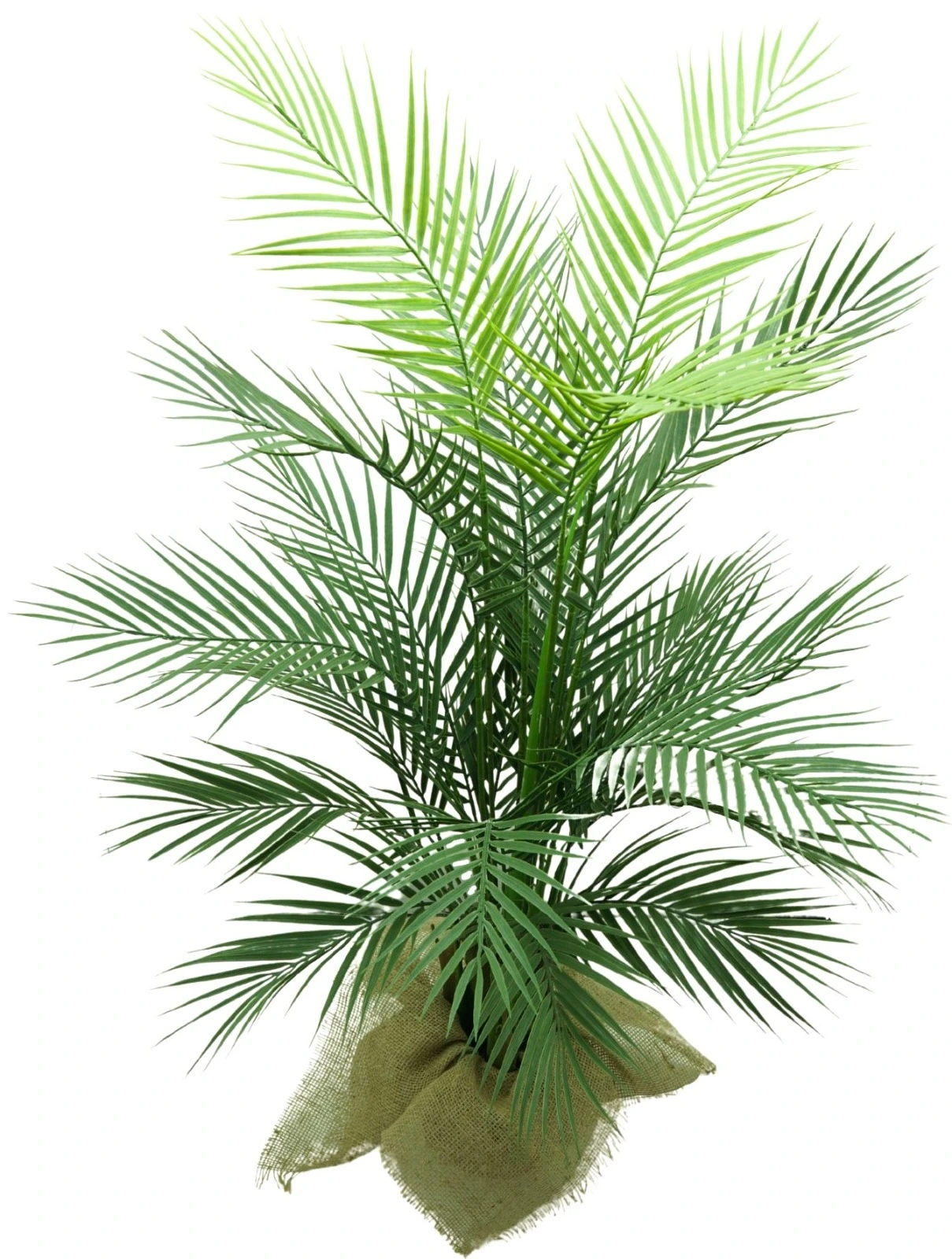 Arvore Palmeira Areca X21 120cm 2543 Mc Flores