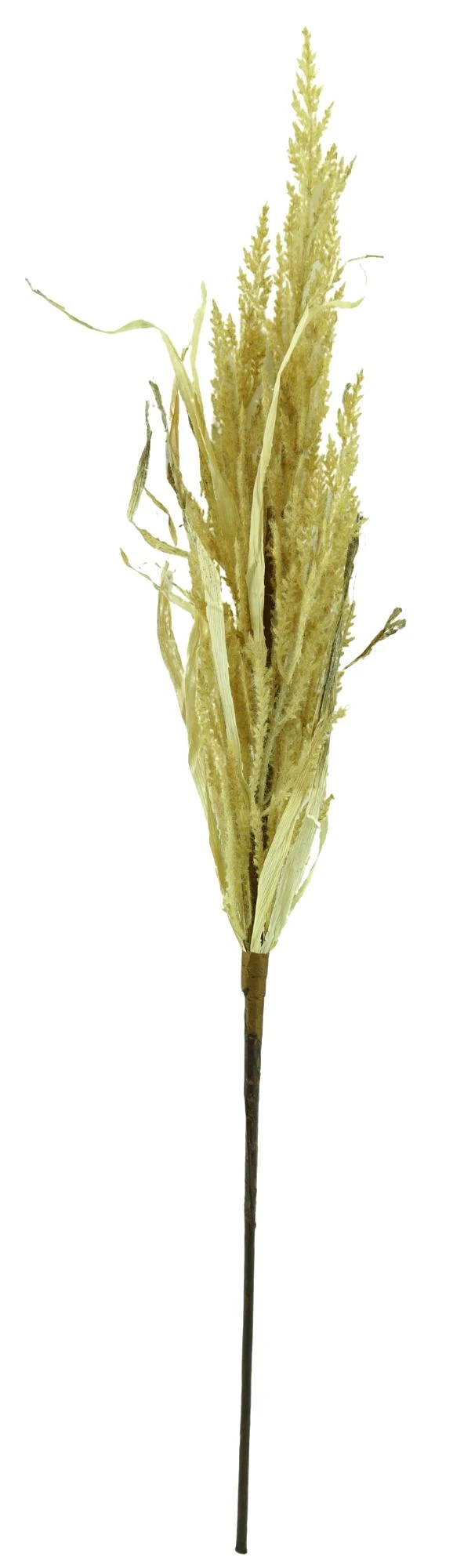 Haste Capim Desidratado 74cm 2787m Mc Flores