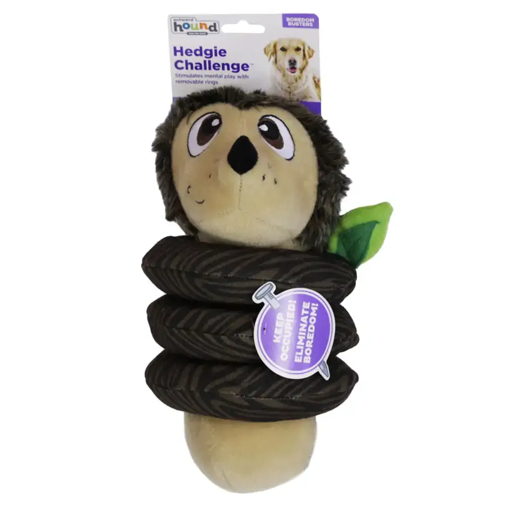 Brinquedo Para Cães Desafio Porco Espinho