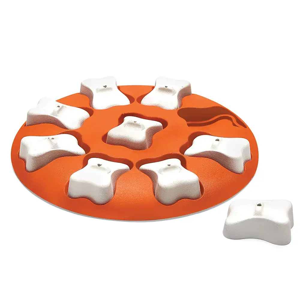 Brinquedo Nina Ottosson Dog Smart Plastic Para Cães