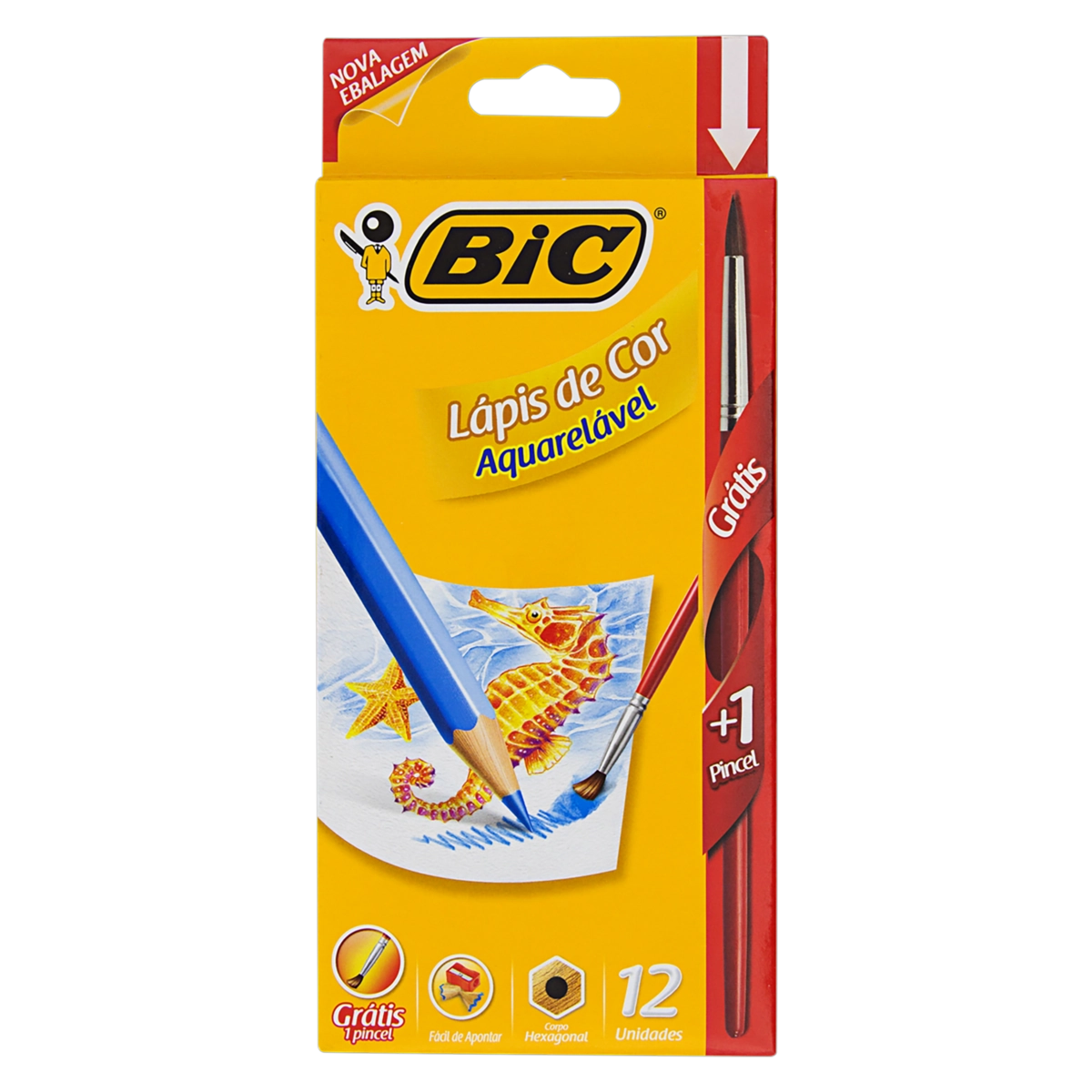 Lápis De Cor Aquarelável Bic 13 Unidades Grátis Pincel