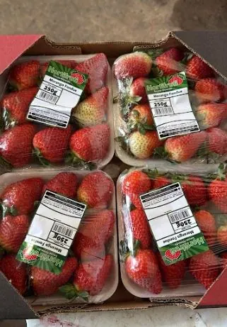 Morango Souza Almeida 250g Fondue
