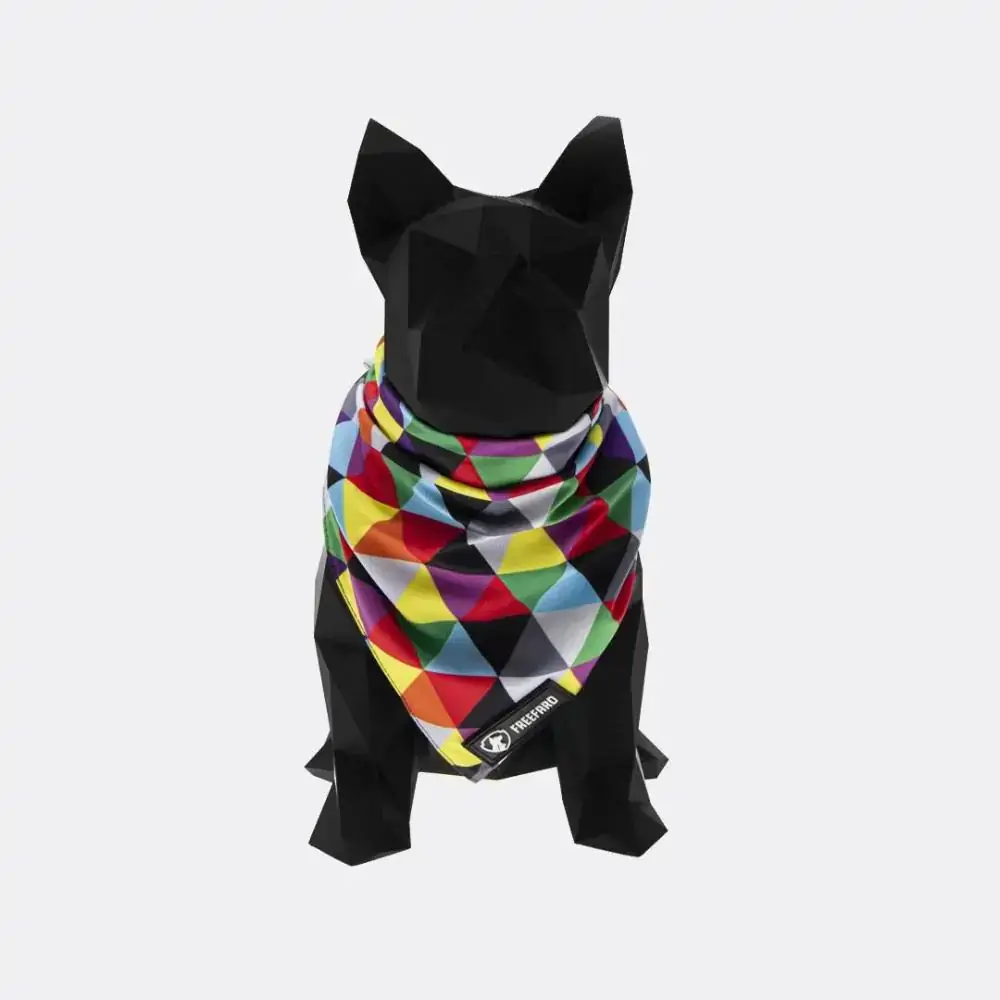 Bandana Colors Tamanho M Freefaro