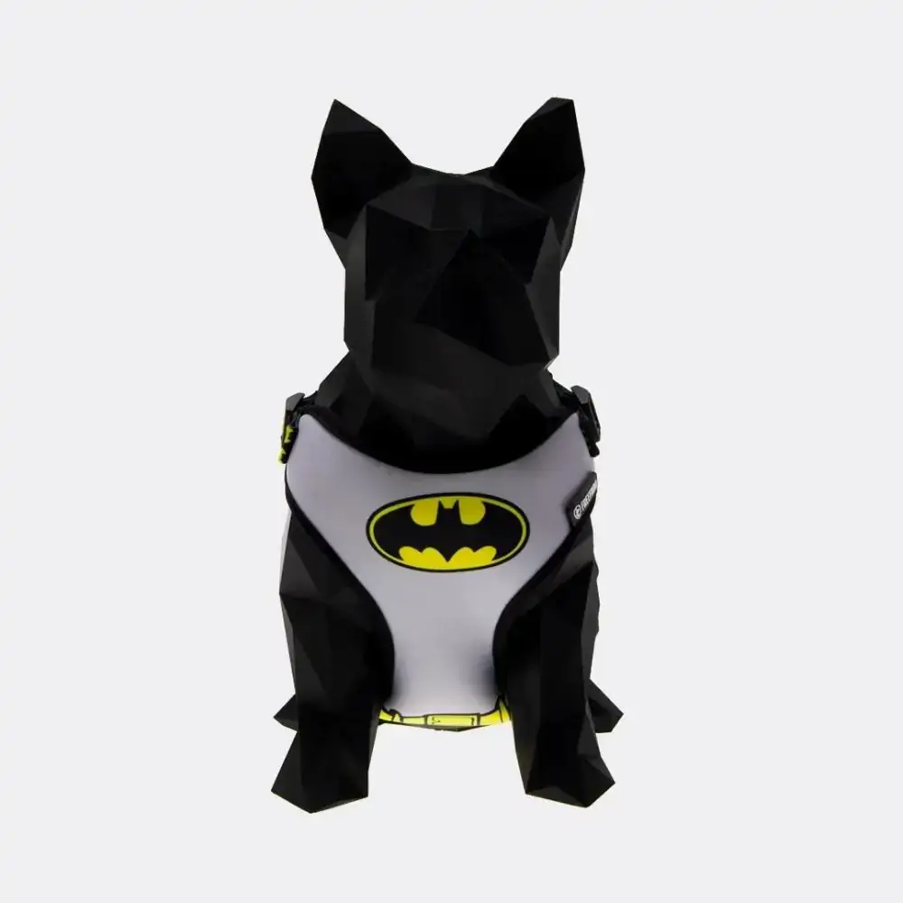 Peitoral Air Batman Tamanho Pp Freefaro