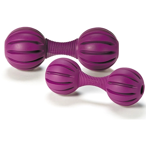 Brinquedo Para Cães Waggle P Premier