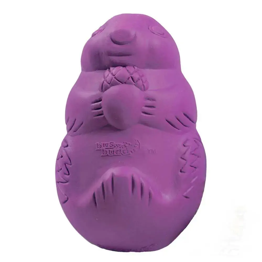 Brinquedo Dispenser Bussy Buddy Ração ou Petisco Squirrel P