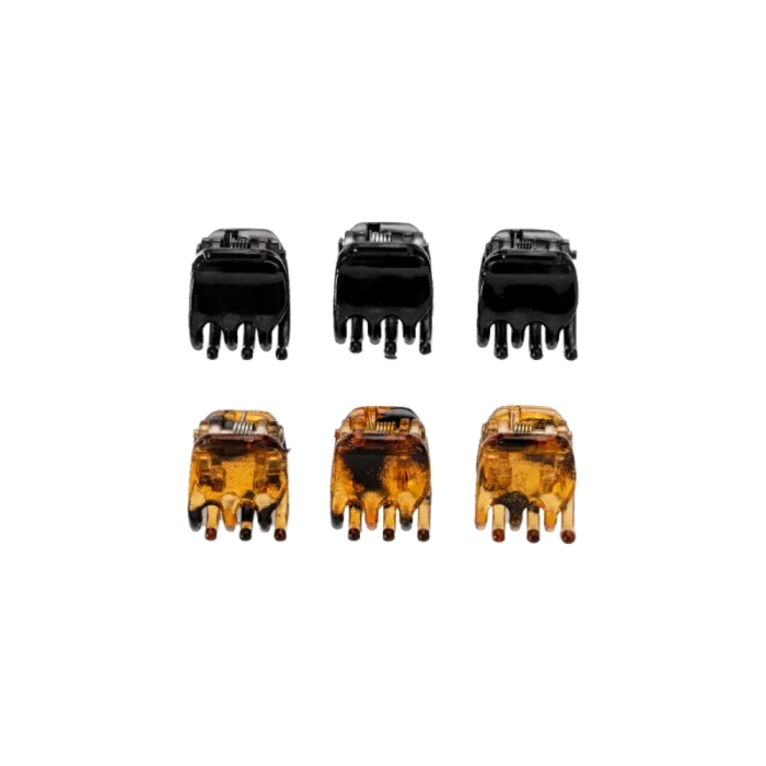 Proart Kit Com 6 Piranhas Pequenas