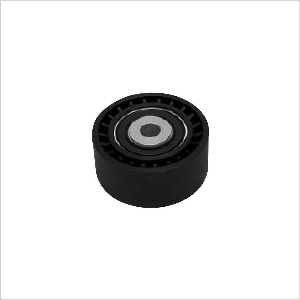 Polia do Tensor Alternador - SKF VKM4789