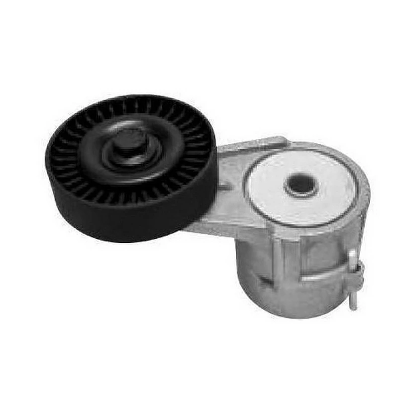 Tensor da Correia do Alternador - SKF VKM4906