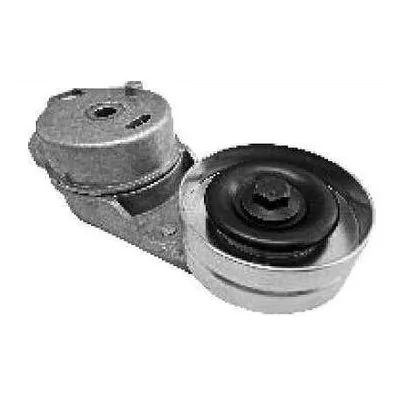 Tensor da Correia do Alternador - SKF VKM60013A