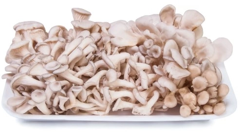 Shimeji Bco Coguprotein 200g