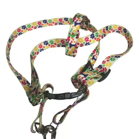 Conjunto Guia Peitoral Americano Dec N 3