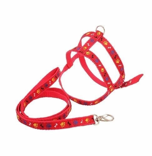 Fashion Pet Peitoral Americano Pata Osso N°04