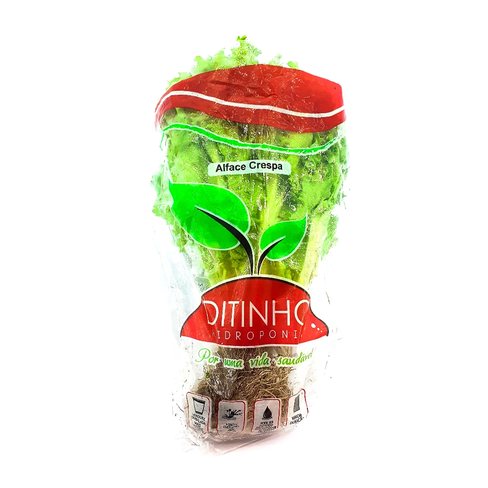 Alface Crespa Hid.ditinho Hidroponia Un