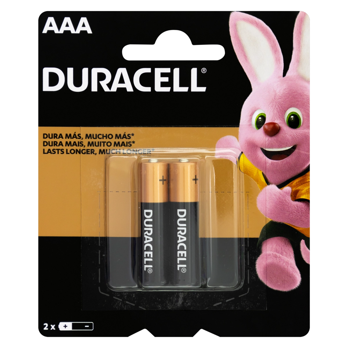 Pilha Duracell Alcalina Aaa Palito Com 2