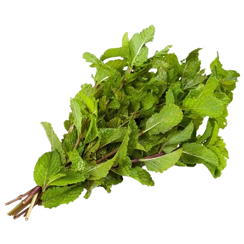Feira Folhagem Hortela Chacara