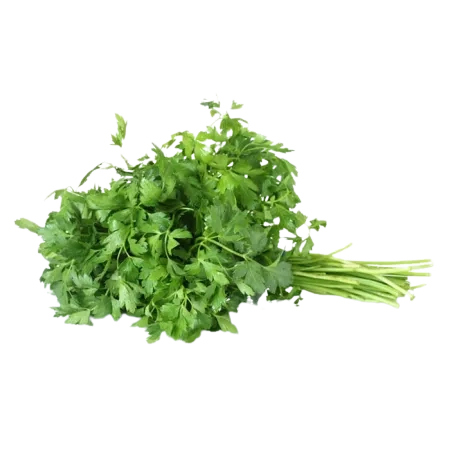 Salsa Molho Un Un