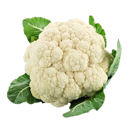 Feira Folhagem Couve Flor Chacara