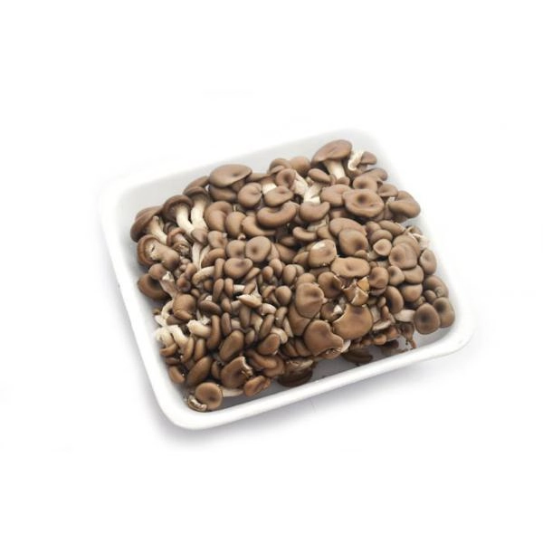 Cogumelo Shimeji Preto Loman Cogumelos Bandeja 200g
