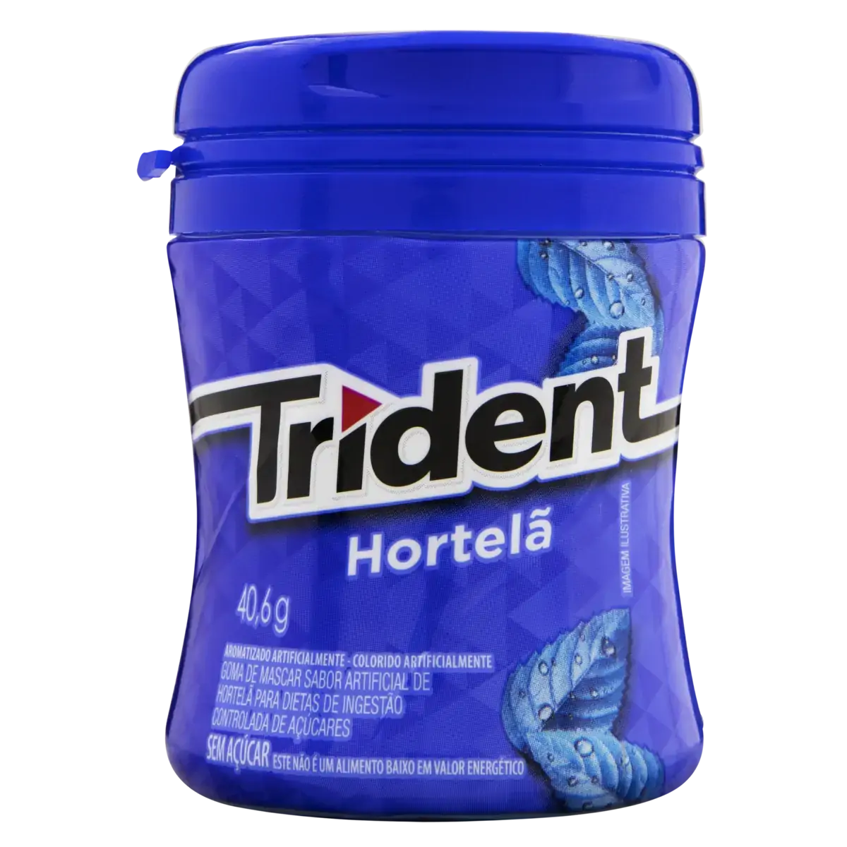 Goma De Mascar Hortelã Zero Açúcar Trident Pote 40,6g