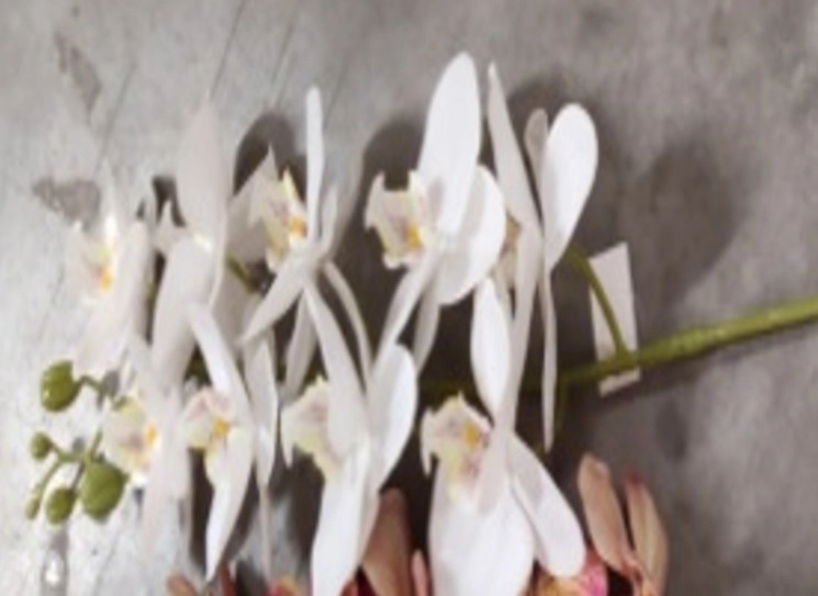 Haste Orquidea 95cm C301 28 Banana Toys