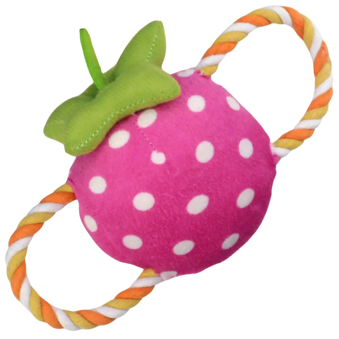 Brinquedo Pet Pelucia Corda Fruta P100 180 Banana Toys