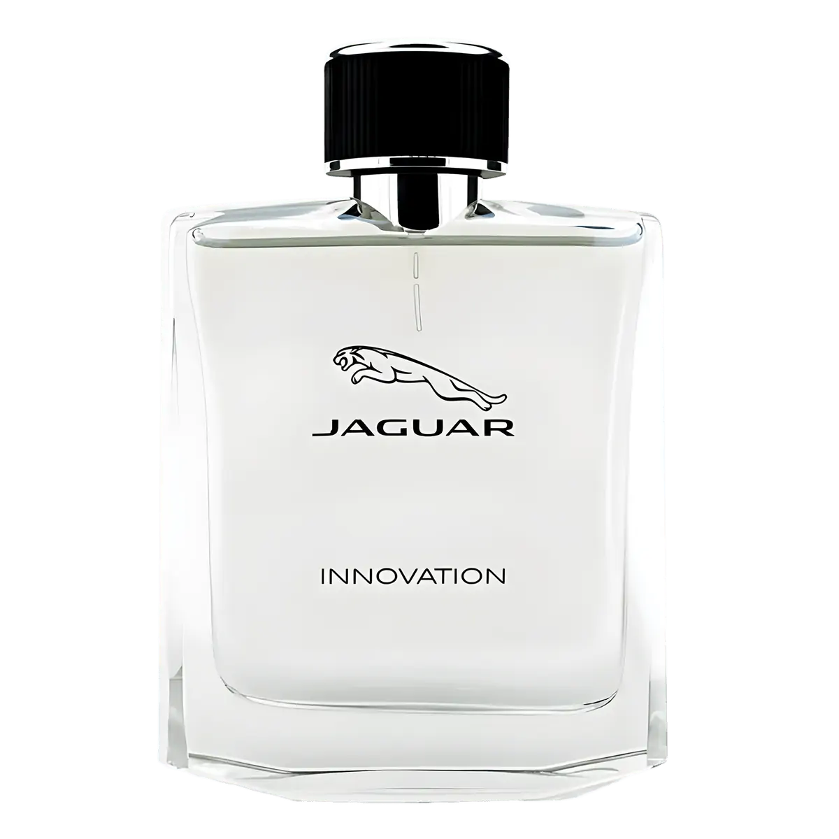 Jaguar Innovation Eau de Toilette - Perfume Masculino - 100ml