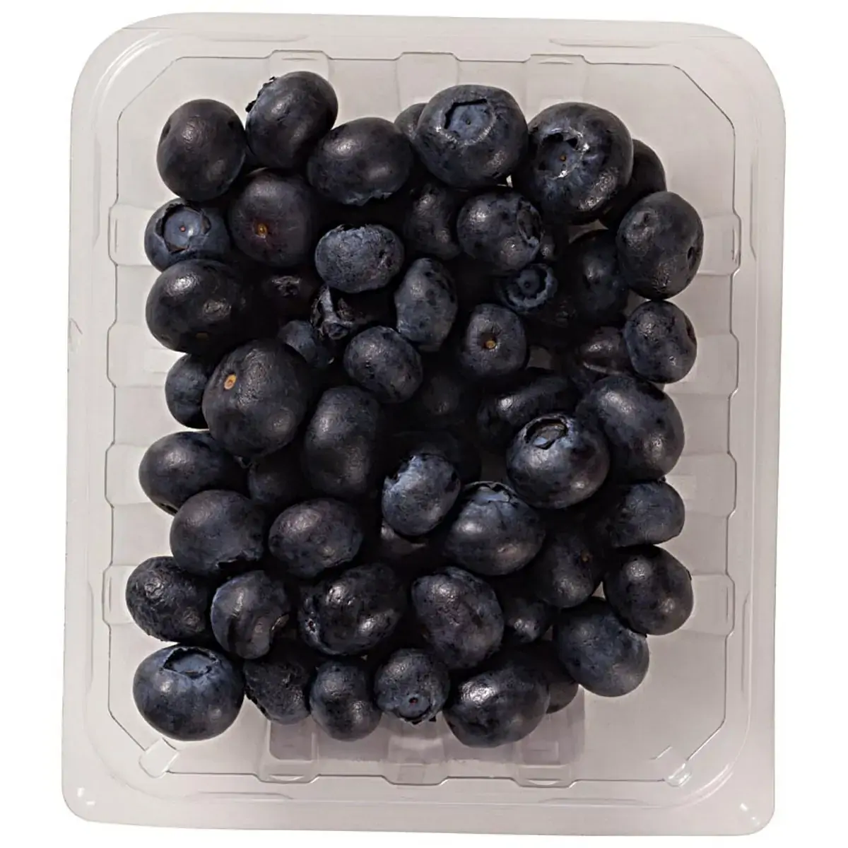 Mirtillo 125g