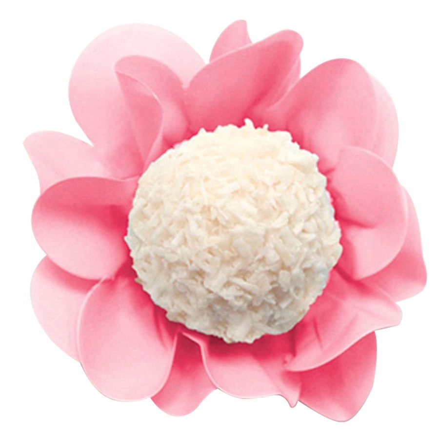 Forma Style Rosa Bb C/40un 436401 Color Concepts